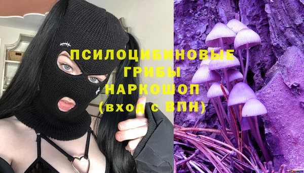 молекула духа Баксан