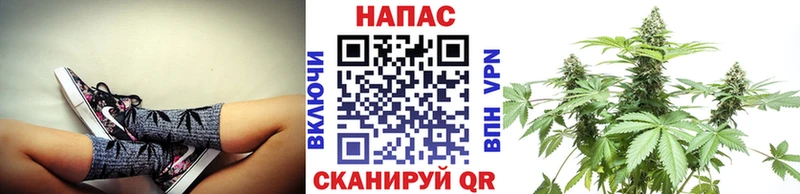 Бошки марихуана тримм продажа наркотиков Губкин